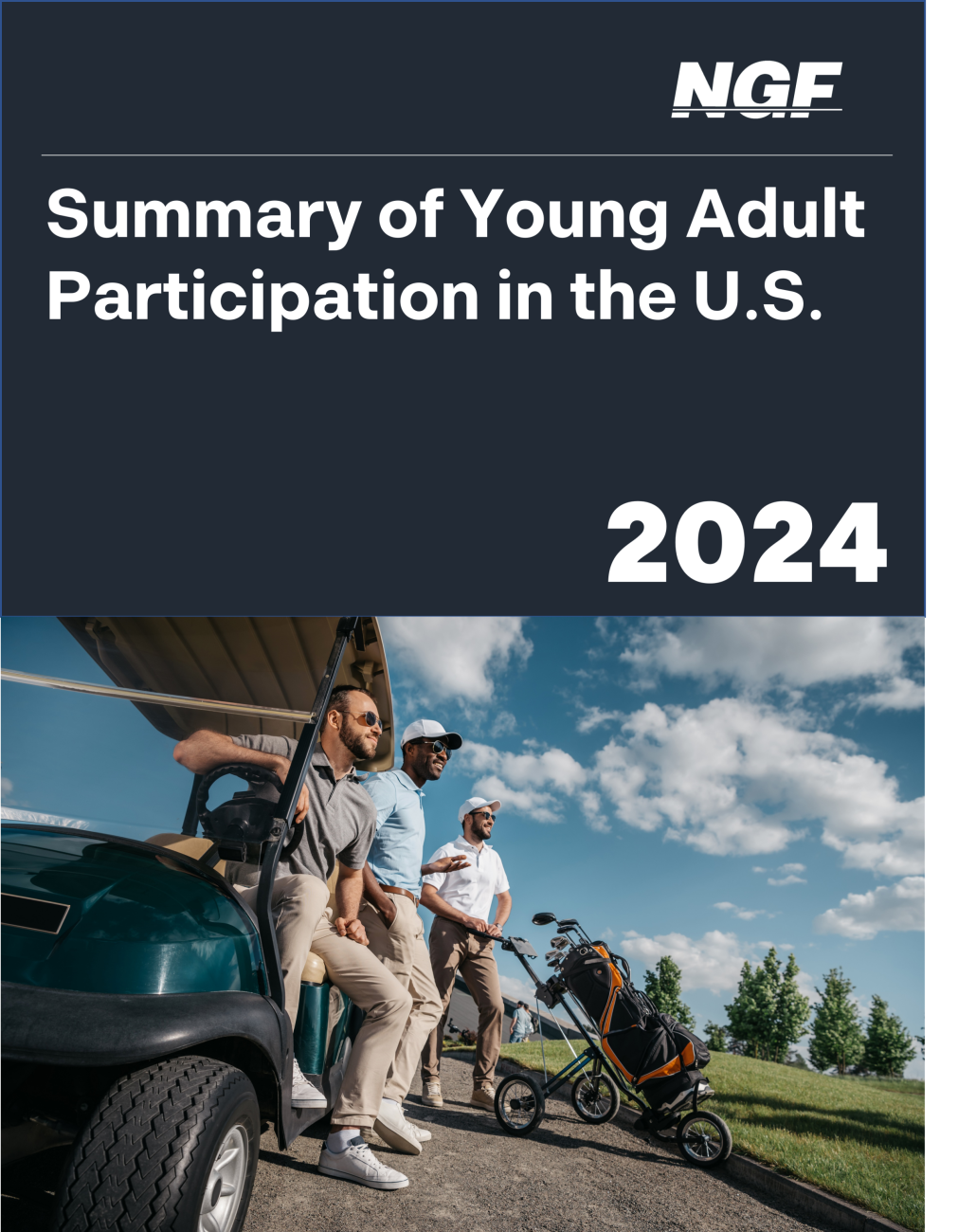 Summary of Young Adult Participation in the U.S.