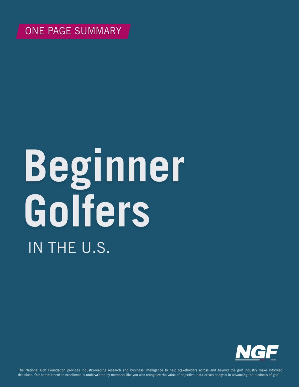 Summary of Beginner Golfers