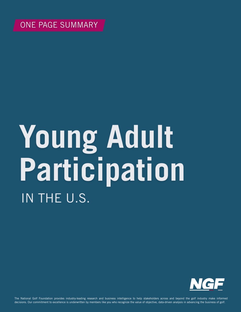 Summary of Young Adult Participation