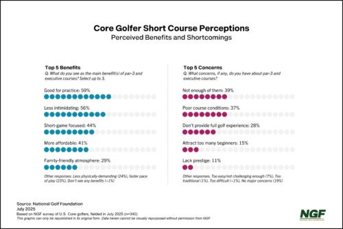 The Short Course Dilemma: Not Enough, Yet Not Good Enough?