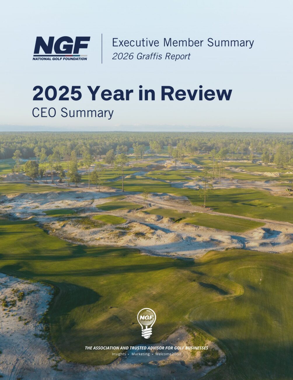 Executive Member Summary – Graffis Report